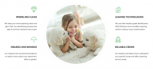 cleaning service
